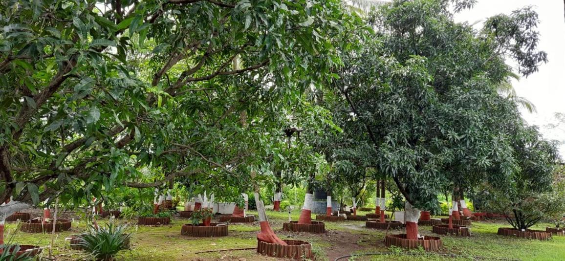 Prajakta Rest House Alībāg Buitenkant foto